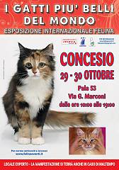 I gatti piu' belli del mondo - esposizione internazionale felina